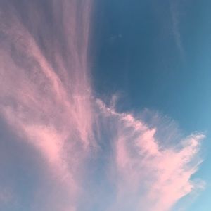 Meet your Posher, Jessie